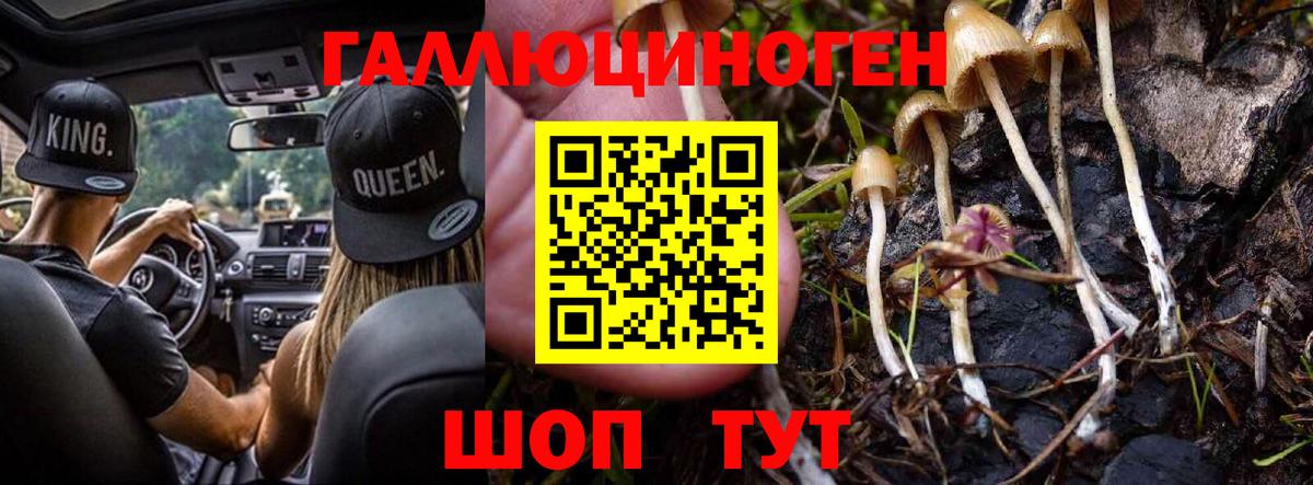 Галлюциногенные грибы ЛСД Каспийск