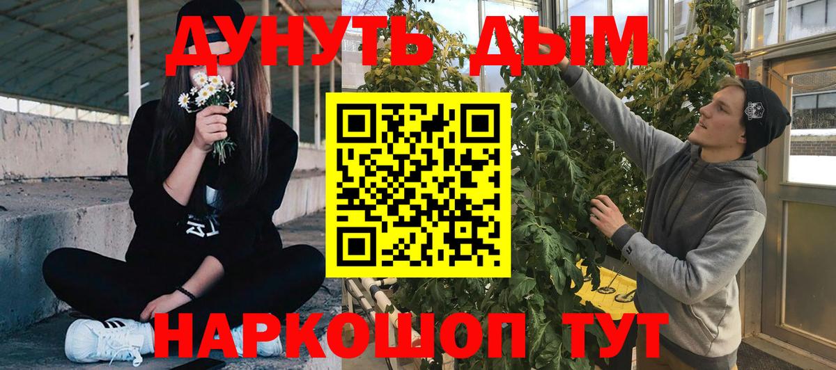 Канабис гибрид  Канабис семена  Каспийск  МАРИХУАНА THC 21%  Конопля OG Kush  Вход с VPN 